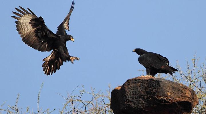 4 Night Garden Route Tour (CPT return)