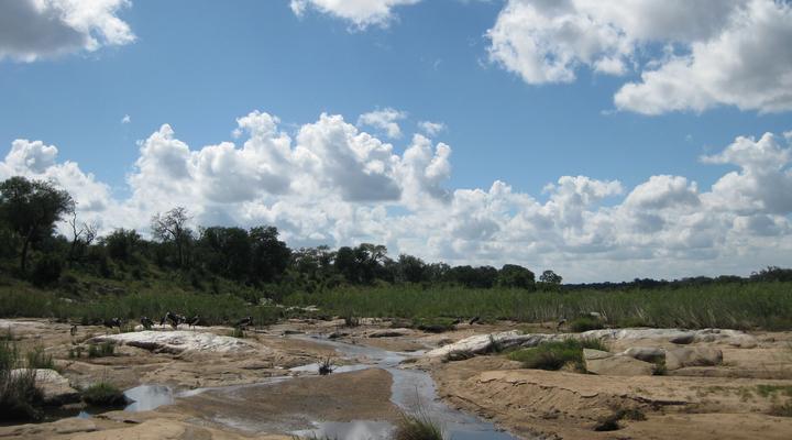 5 Night Great Wildlife Expedition (JHB to DBN)