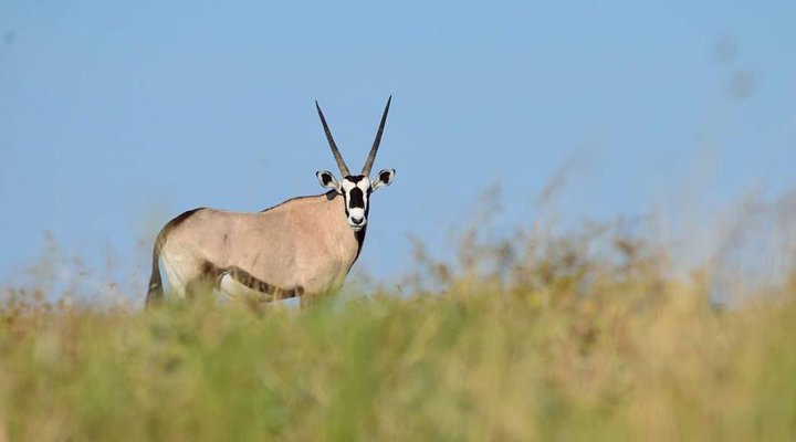 Deception Valley Lodge