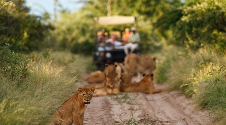 Deception Valley Lodge