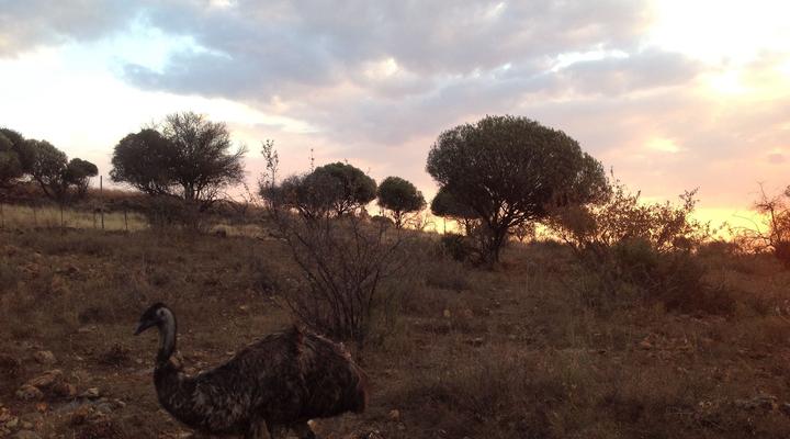 Bietjie Bosveld Lodge