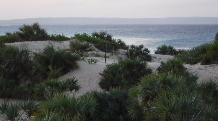 CDM - Casita 7 and Casita 8