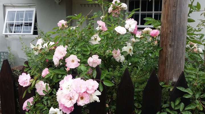Nostalgia Self-catering Guest House