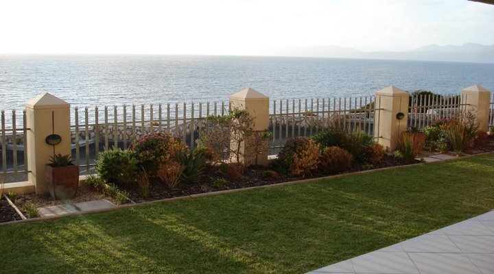 Whale Cove AG03