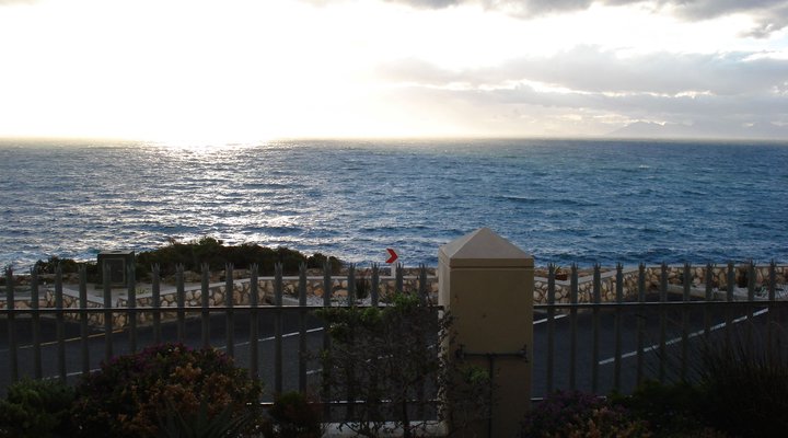 Whale Cove AG03