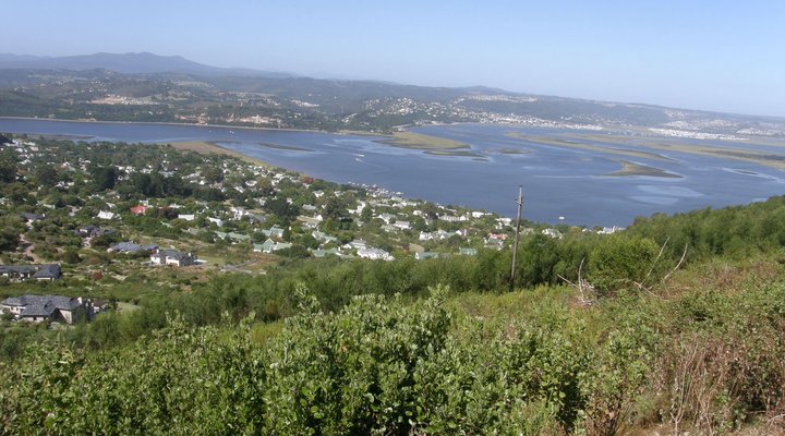 Montrose Guest Apartment