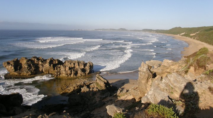 Montrose Guest Apartment