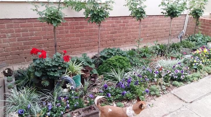 Tania's Accomodation