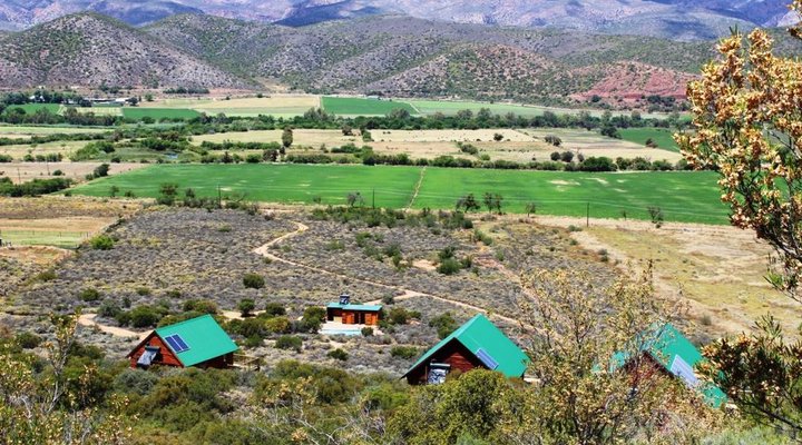 The Travelling Tortoise