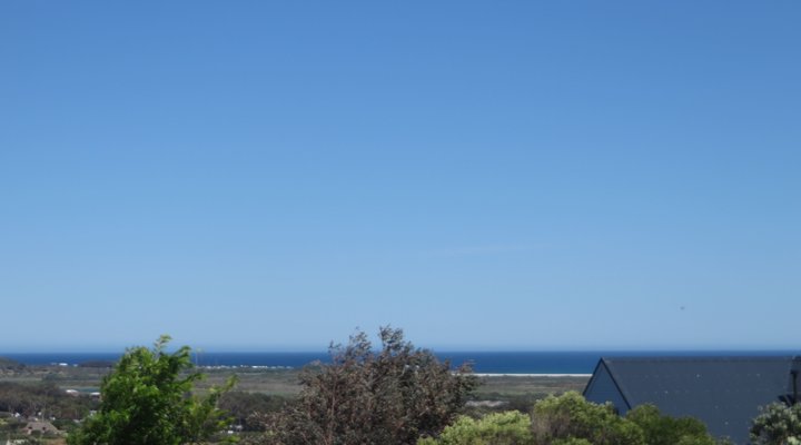 Bermuda Capri