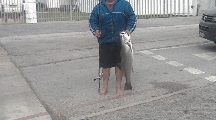 Tiger Bay Accommodation