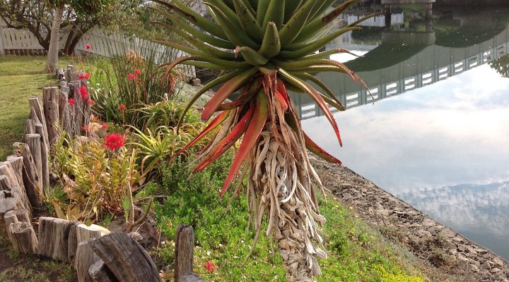 Hammock Island Loft Apartment