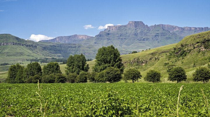 Mountain Splendour Eco-Resort