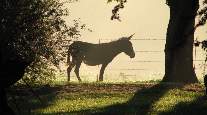 Mountain Splendour Eco-Resort