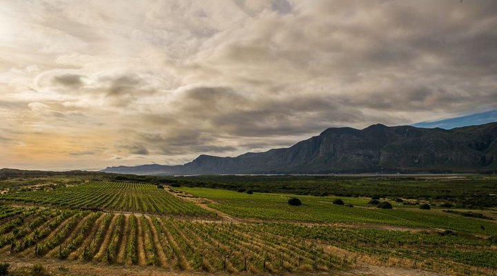 Springfontein Sleeps