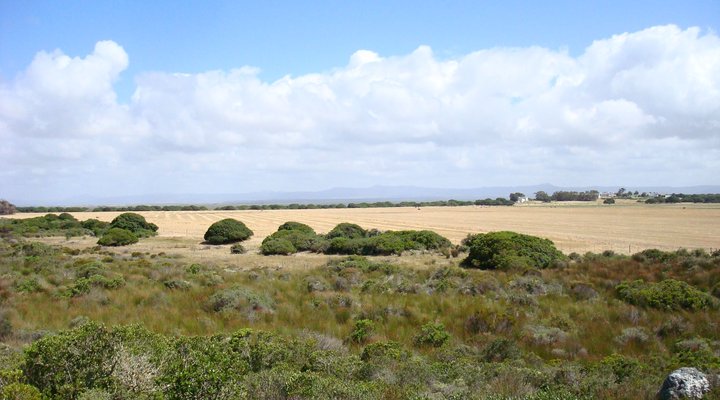 Jubilee Hill