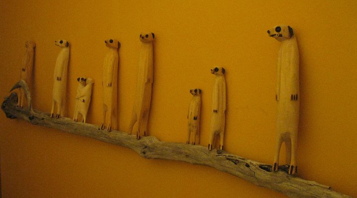 Mad Mongoose Self-Catering