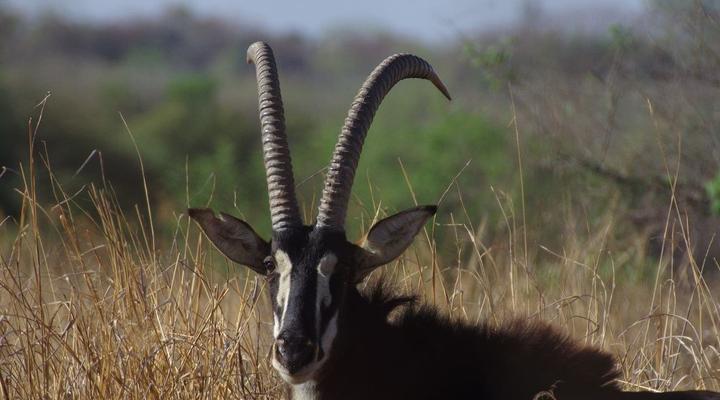 Deelkraal Wildlife Reserve