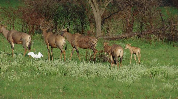 Deelkraal Wildlife Reserve