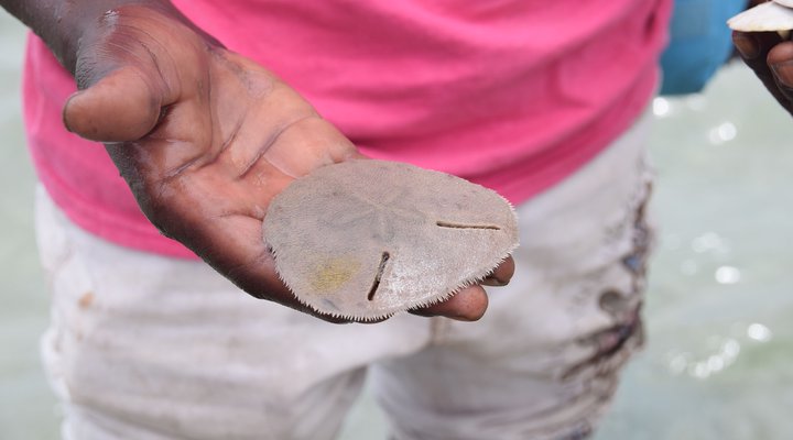 Khumbula iMozambique