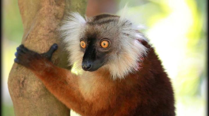 293 on Komba Guest House