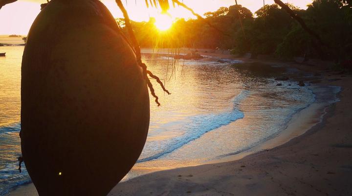 293 on Komba Guest House