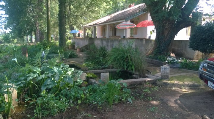 Artists' Haven