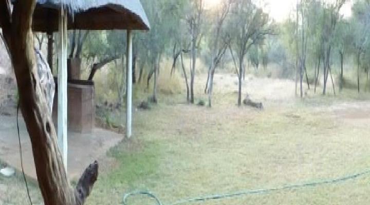 Kameelhoek Game Ranch