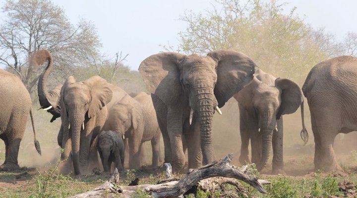 3 Night 4 Day Discover St Lucia Package