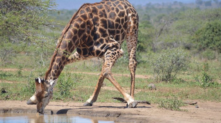 3 Night 4 Day Discover St Lucia Package