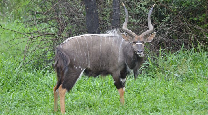 3 Night 4 Day Discover St Lucia Package