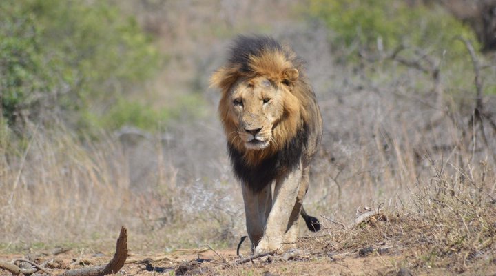 3 Night 4 Day Discover St Lucia Package