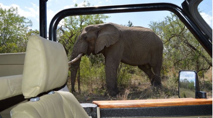 3 Night 4 Day Discover St Lucia Package