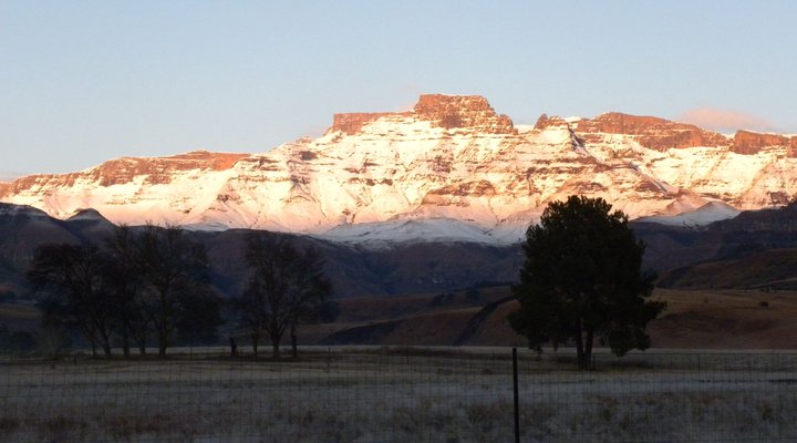 Misty Peaks