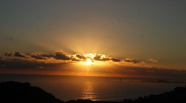 Blue Dolphin Guest Suite