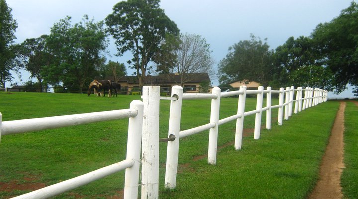 Africa Whispers Country House