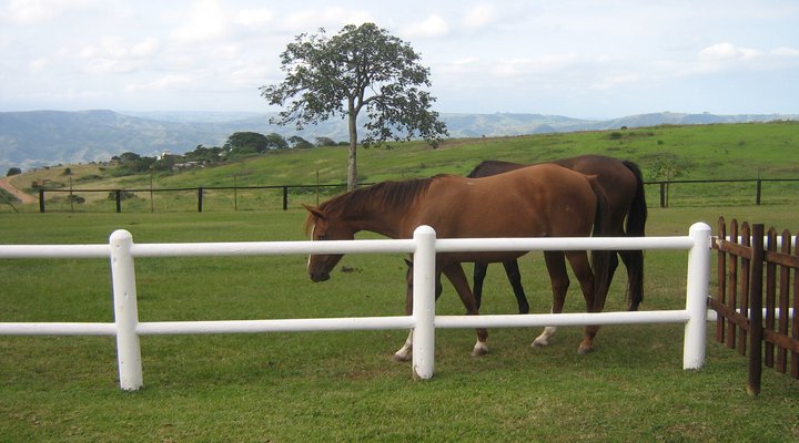 Africa Whispers Country House