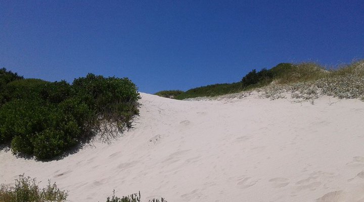 Betty's Bay Beach Flatlet