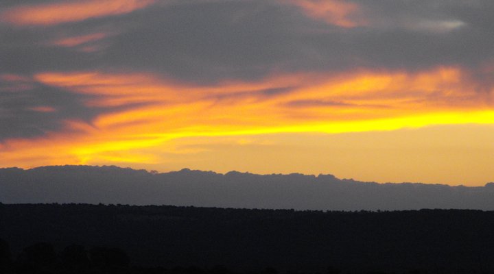 Bushbuck Hills Eco Farm