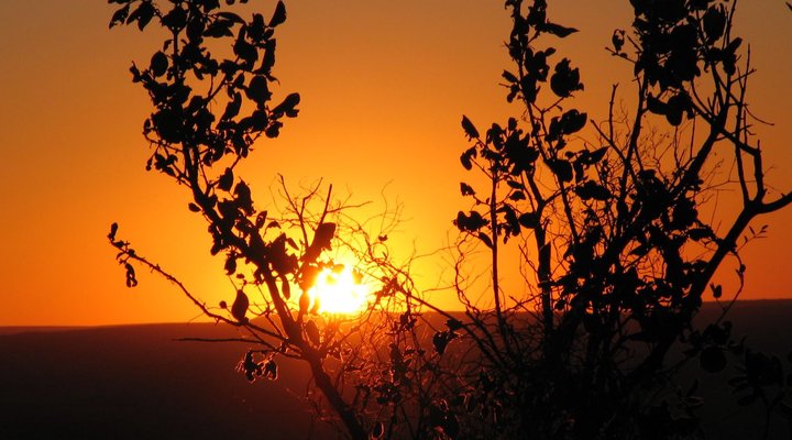 Bushbuck Hills Eco Farm