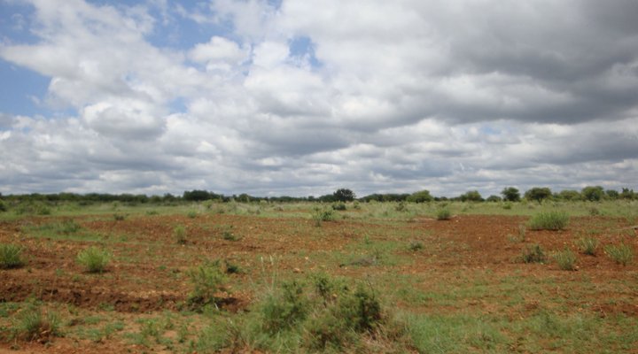 Bushbuck Hills Eco Farm