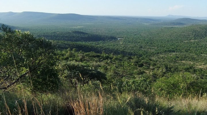 Bushbuck Hills Eco Farm