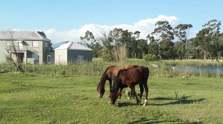 Schoongezicht Summer Country House