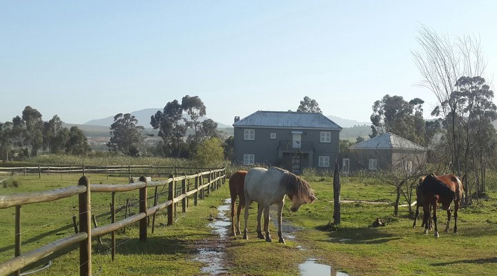 Schoongezicht Summer Country House
