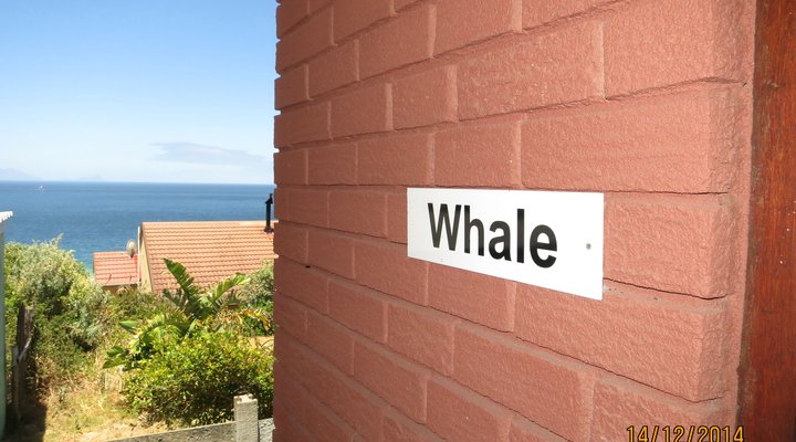 Penguin Blue Self-Catering Apartments