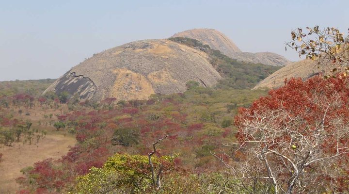 Mutinondo Wilderness