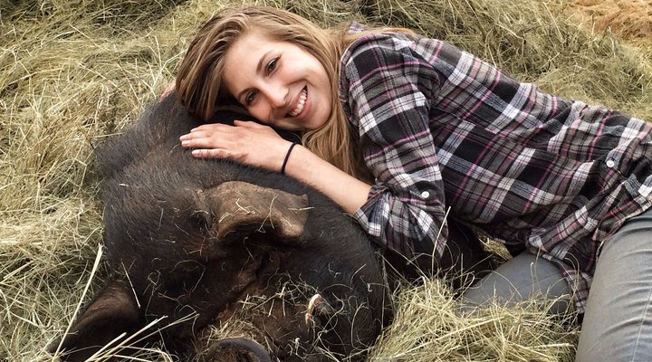 Lydenrust Guest Farm & Horse Trails