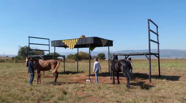Lydenrust Guest Farm & Horse Trails
