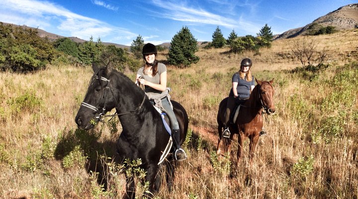 Lydenrust Guest Farm & Horse Trails