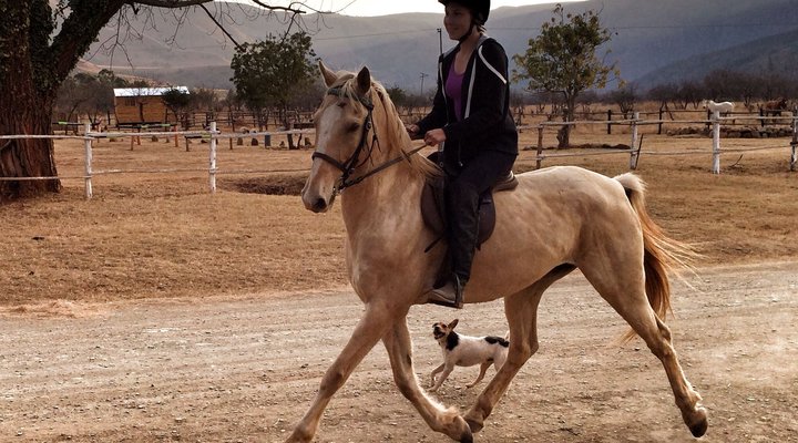 Lydenrust Guest Farm & Horse Trails